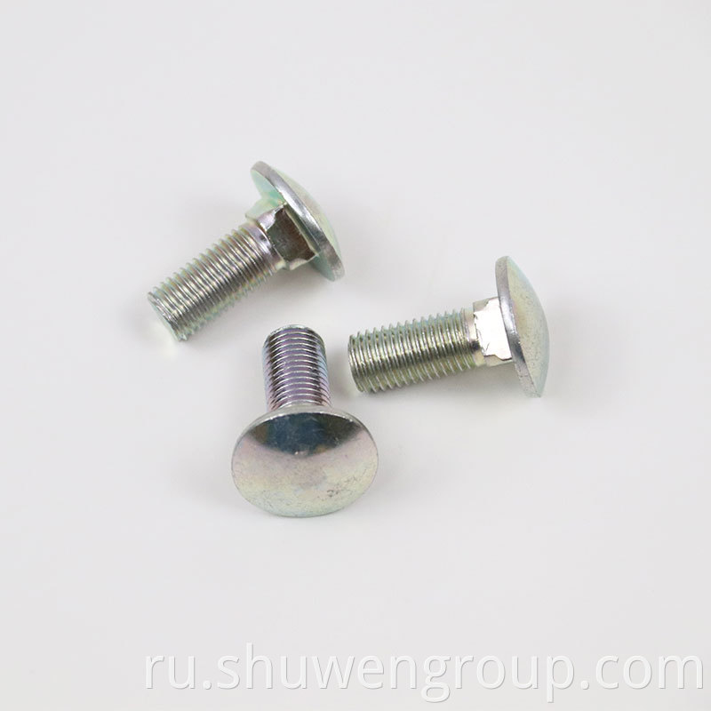 Carriage Bolt 8 1